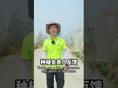 Φυτικός οργανικός φυτοφαρμάκων δολοφόνος εντόμων κήπων εντομοκτόνων SeNPV πράσινος φυτικός βιολογικός