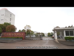 Εισαγωγή επιχείρησης της βιολογικής τεχνολογίας Wuhan Unioasis