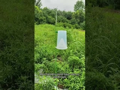 Παγίδα για τα παράσιτα Παγίδα για τα έντομα Παγίδα για τα ζαχαρότευτλα Στρατιωτικό σκουλήκι στο καλαμπόκι Φυτό λάχανο Παγίδα για το μπρόκολο