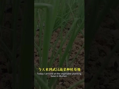 Ο συνδυασμός σπόρων βακιλίων και βακουλοϊού μπορεί να ελέγξει καλύτερα το παράσιτο των λεπιδοπτέρων