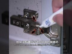 Βιολογικό Εντομοκτόνο Τζελ Δόλωμα για την Εξόντωση Ενηλίκων, Νυμφών και Αυγών Κατσαρίδας