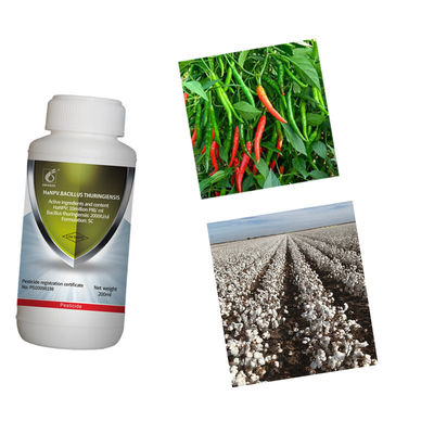 Cotton Tobacco Pepper Pests Insects Killer Organic Pesticide 10 million PIB/mL HaNPV 2000IU/mL Bt 