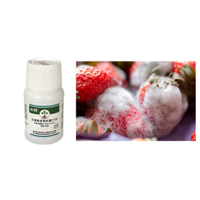 CY30 Fertilizer Promote N P K Absorption Mix with Pesticides Fungicides Increase Tomato Yield