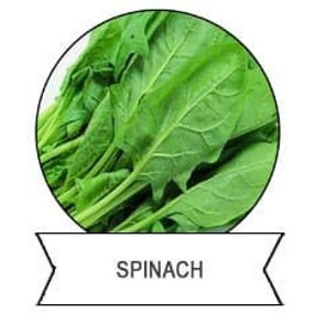 Efficient Biopesticides Organic Vegetable Cabbage Beet Armyworm Killer Insecticide  PrGV WP