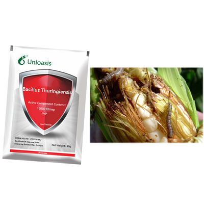 Bacillus Thuringiensis Btk Biological Insecticide for Cabbage Worm