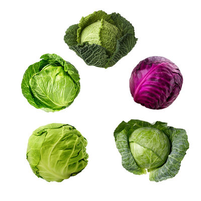 Good Quality Bio Pesticide PrGV Kill Cabbage Worm without Chemical Residue Safe to Crops