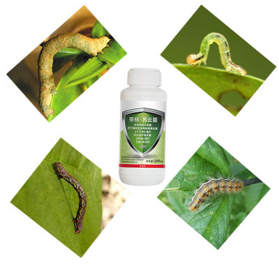 Green Tea Tree Pest Bio Pesticide EoNPV Outstanding Resistance to Drug Resistance Stubborn Pests