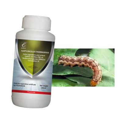 Spray bio pesticide reduce budworm populations no safety interval period