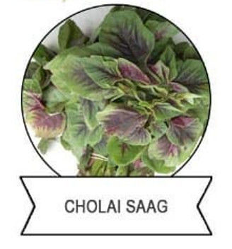 Brassicaceous vegetable pest elimination organic pesticide 10000 PIB/mg SeNPV 16000IU/mg Bt 