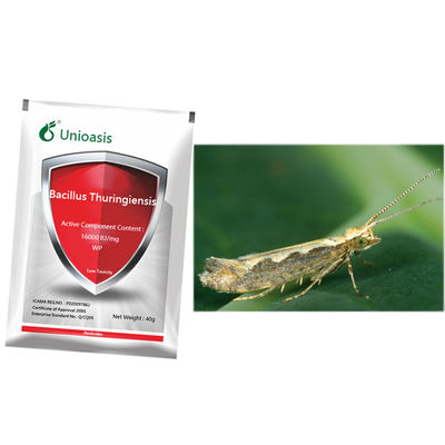 Microbial Product Bacillus Thuringiensis Manage Cabbage Tomato Potato Rice Maize Insecticide 