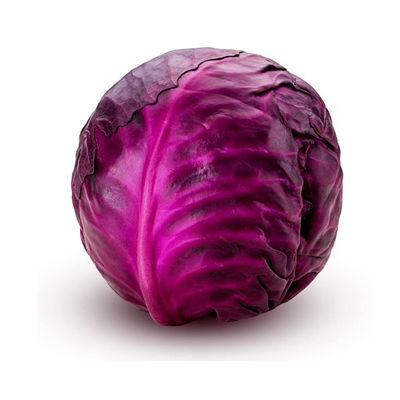 Organic Bacillus Thuringiensis Insecticide for Lepidoptera Pests