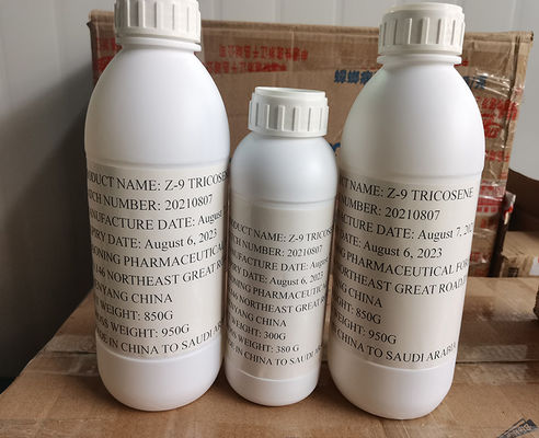 OEM Acceptable Bed Bug Fly Trap Attracts Housefly Flies Attract Insect Pheromone